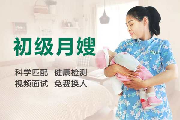 初级月嫂