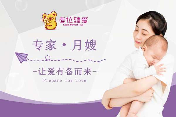 专家月嫂