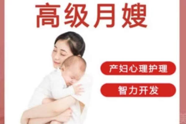 高级月嫂