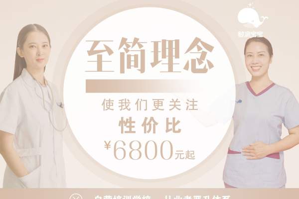 月嫂-海豚精致套餐
