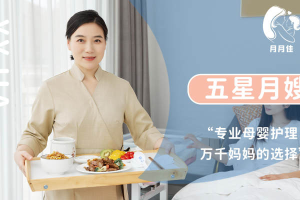 五星月嫂服务