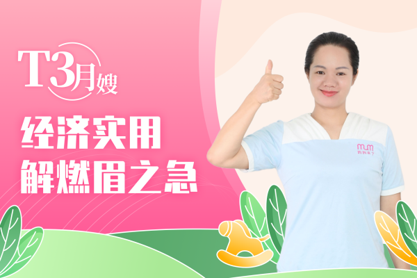 T3专业月嫂经济实用