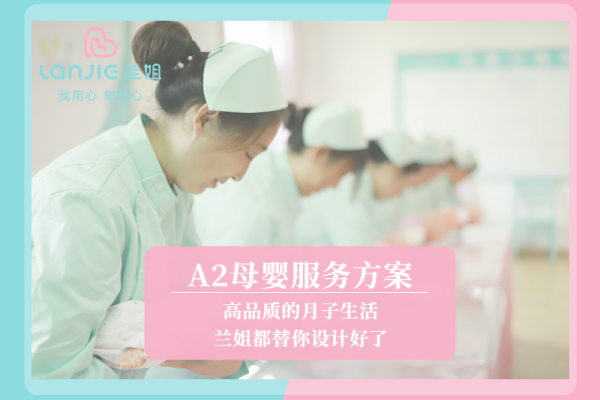 A2母婴服务整体解决方案