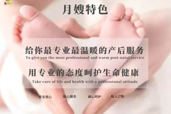五星级月嫂