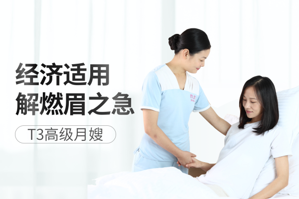T3专业月嫂经济实用