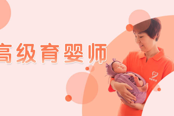 8小时高级育婴师
