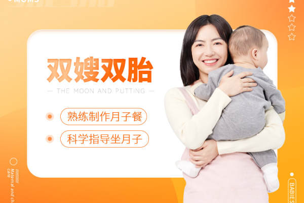 双嫂双胎 