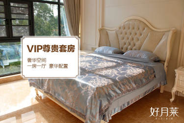 99800元【VIP尊贵套餐】