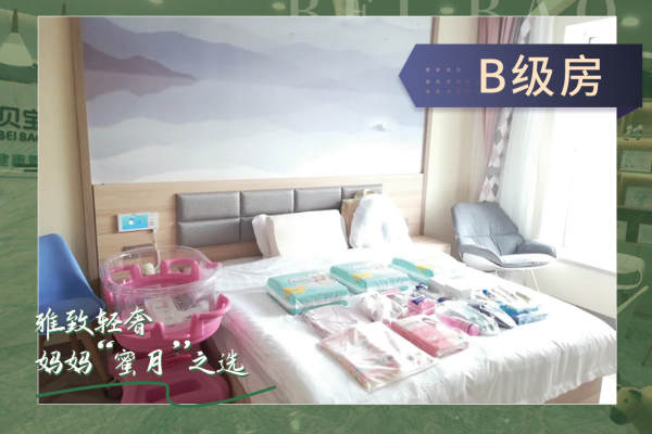 33888元【B级房】