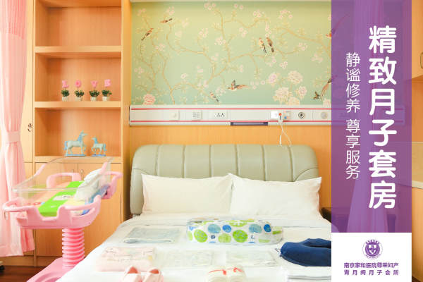 29999元【精致月子套房】