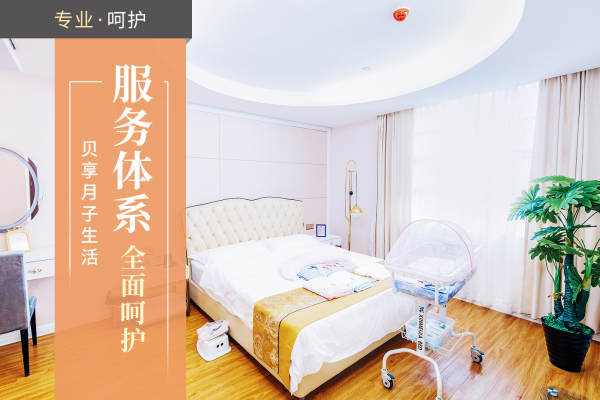 1001元【优选套餐【服务】 】