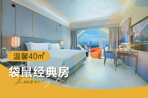 48888元【袋鼠经典房】