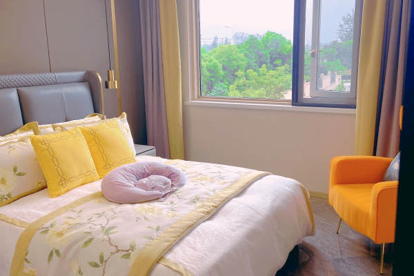 53800元【尊悦vip房】