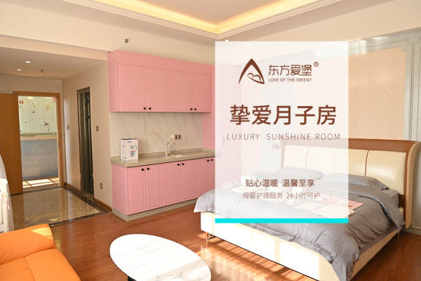 1000元【特价钟月子房  详询门店】