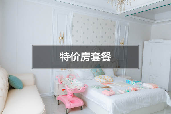19800元【特价房套餐】