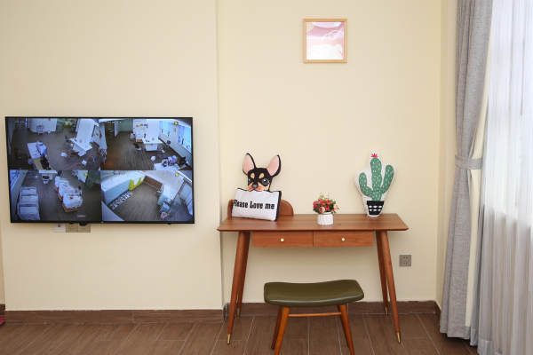 39800元【英泽标准套餐28天】