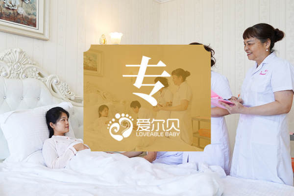 99999元【专业团队】