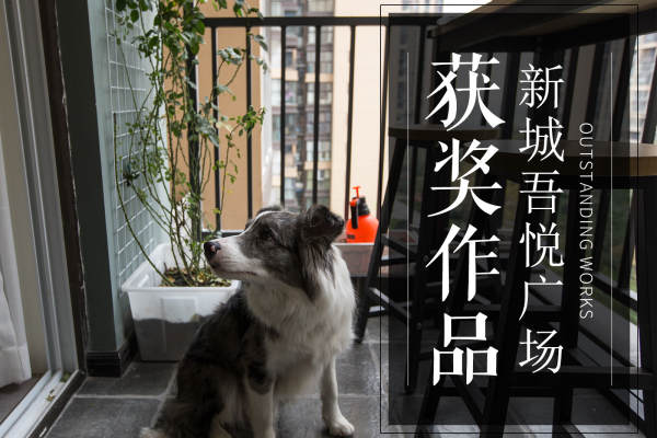 现代简约·新城吾悦广场