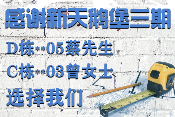 现代简约·新天鹅堡三期