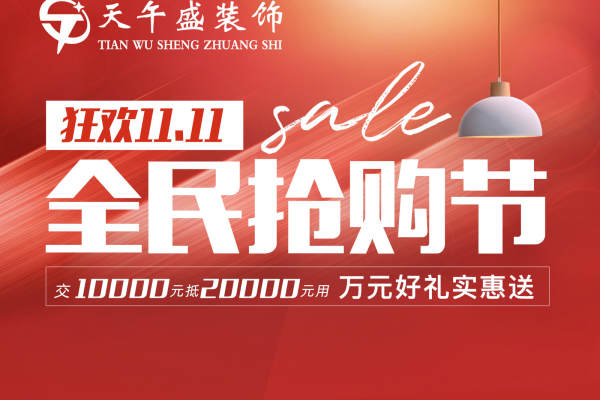 现代简约·狂欢11.11 全民抢购节
